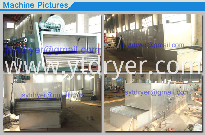 Mesh Belt Drying Machine/Turnip Strip Dryer